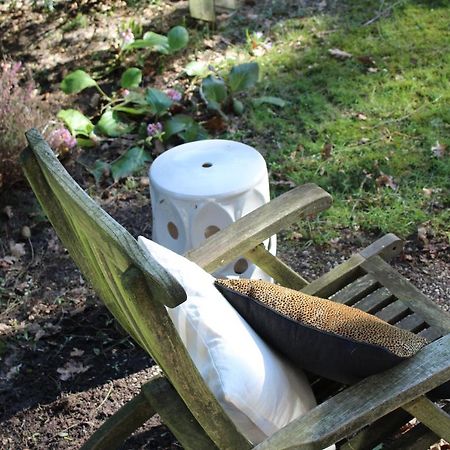 Sfeervol Vakantiehuisje In Bosrijke Omgeving Vorden Kültér fotó