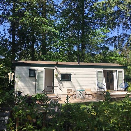 Sfeervol Vakantiehuisje In Bosrijke Omgeving Vorden Kültér fotó