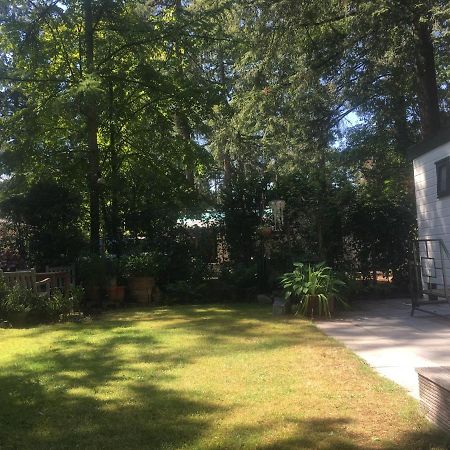 Sfeervol Vakantiehuisje In Bosrijke Omgeving Vorden Kültér fotó