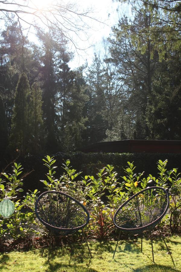 Sfeervol Vakantiehuisje In Bosrijke Omgeving Vorden Kültér fotó