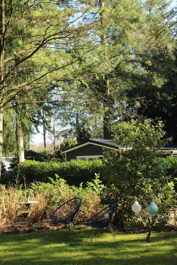 Sfeervol Vakantiehuisje In Bosrijke Omgeving Vorden Kültér fotó