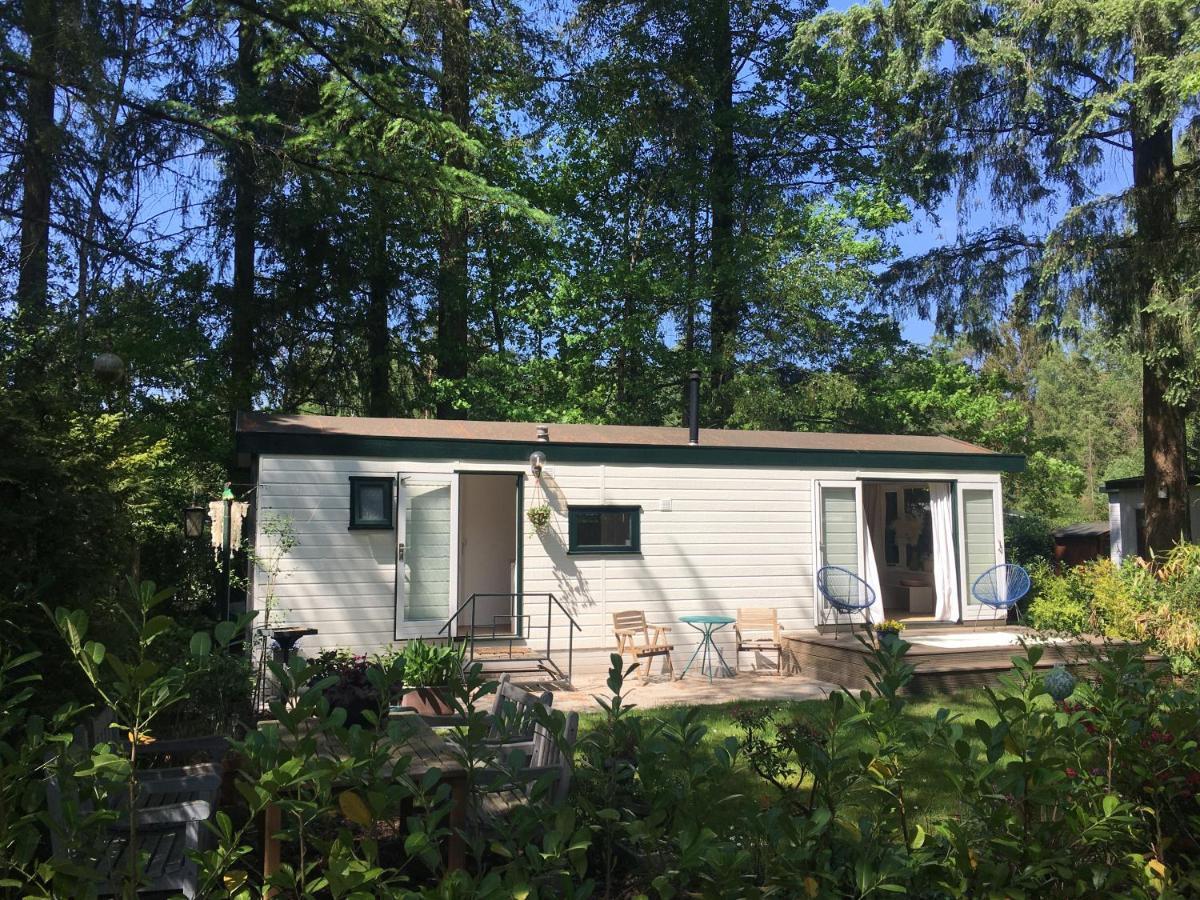 Sfeervol Vakantiehuisje In Bosrijke Omgeving Vorden Kültér fotó