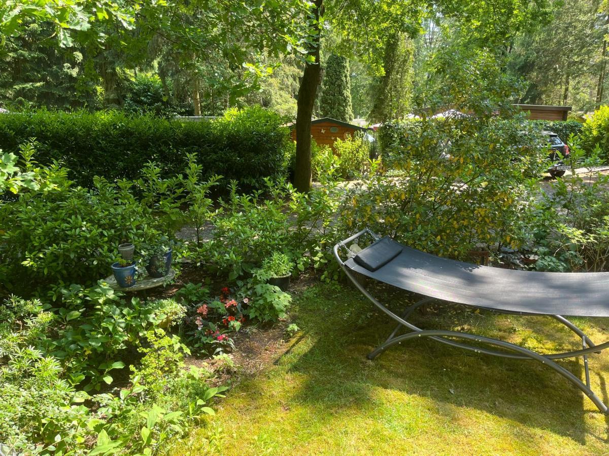 Sfeervol Vakantiehuisje In Bosrijke Omgeving Vorden Kültér fotó